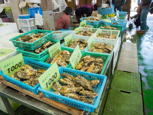 牡蠣の本場・日生産!牡蠣7種の牡蠣料理70分間食べ放題&坂越レトロ街並みさんぽ【河内磐船・枚方市・JR高槻発】2